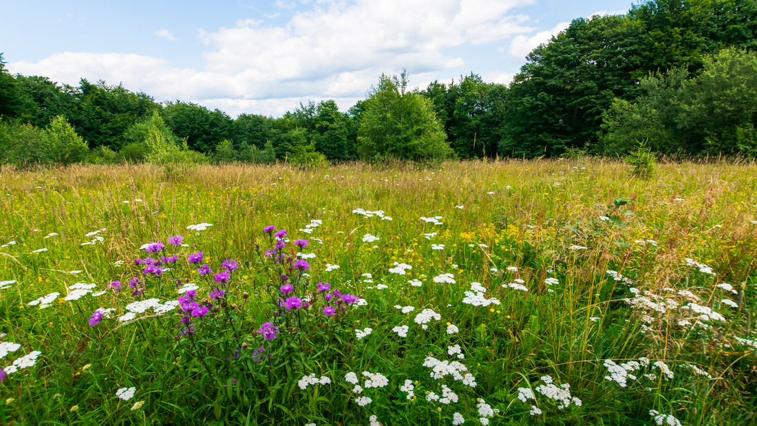 Seasonal allergies and your skin