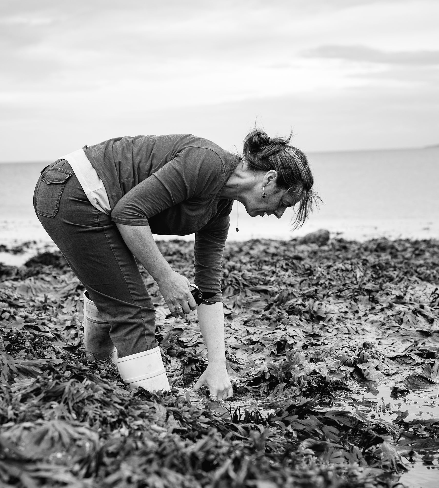 Nutrient-Rich Seaweed: The key to unlocking glowing skin